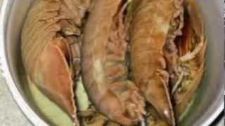 Japan Aquarium To Serve Fried Giant Isopods For A Limited Time [upl. by Proudfoot]