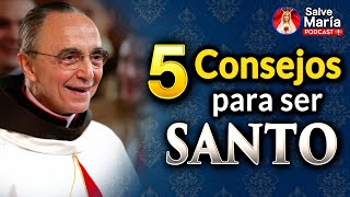 🎙️ 5 Consejos para ser Santo  Podcast Salve María  Episodio 127 [upl. by Mccreary760]