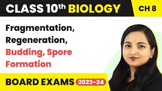 Fragmentation Regeneration Budding Spore Formation  Class 10 Biology Chapter 8 [upl. by Hermy]