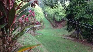 MidWorld Canopy Ziplining  Superman  Costa Rica [upl. by Madanhoj]