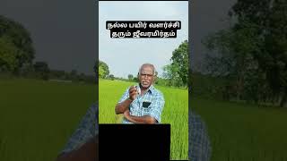 நல்ல பயிர் வளர்ச்சி தரும் ஜீவரமிர்தம் [upl. by Rehtaeh]