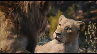 Can You Feel the Love Tonight From quotThe Lion Kingquot [upl. by Blessington]