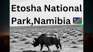 Watch this before you go to Etosha National Park Namibia [upl. by Broida711]