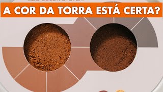 CORES DA TORRA PELO AGTRON [upl. by Sunny164]