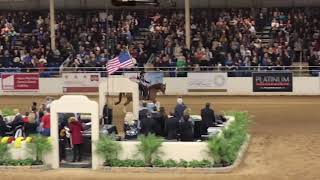 2019 Scottsdale Arabian Horse Show Finals [upl. by Anegue]