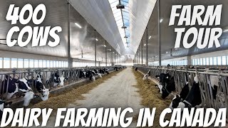 New Mars Dairy Milking 400 Cows In Alberta Canada [upl. by Skippie]