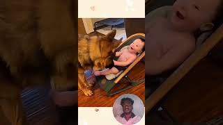 Funny story about babies and dogs ❤️🥰pet cat dog cute animals foryou typ [upl. by Akired755]