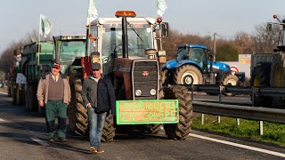 Mobilisation agricole quotbon enfantquot à Strasbourg  les exploitants à la rencontre des consommateurs [upl. by Yntruoc]