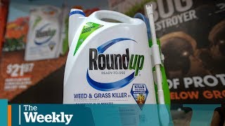 The debate over whether glyphosate causes cancer  The Weekly with Wendy Mesley [upl. by Imalda]