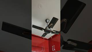 Mini Ceiling Fan 😁 fan shortvideo fansound shorts viralvideo [upl. by Akima192]