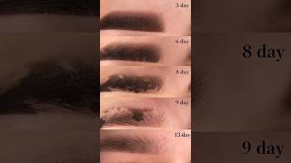 quotBrow Healing Stages Breakdown Save for Your Clients 💖 shorts tips [upl. by Nnyleimaj]