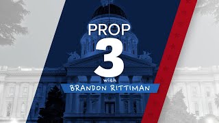 2024 Ballot Prop 3 Explained [upl. by Brieta]