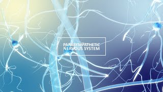 Autonomic Nervous System ANS Parasympathetic [upl. by Dremann]