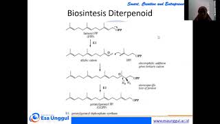 Biosintesis Terpenoid [upl. by Harbot503]