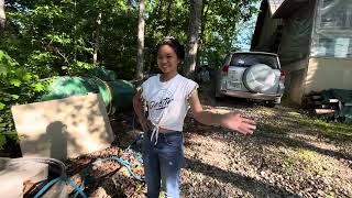 Growing gourmet shiitake mushrooms with my beautiful Filipina 😀🌴🌴🍄 ￼ [upl. by Pebrook]