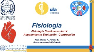 Fisiología Cardiovascular X Acoplamiento Excitación Contracción [upl. by Alad213]