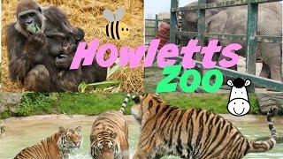 Howletts Zoo [upl. by Anaugahs]