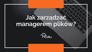 Menager plików zarządzanie plikami w DirectAdmin na serwerze w calpl [upl. by Tawney]