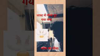 gola Tut gya kya bhai funny shortfeed shortvideo comedy dailyvlog [upl. by Irej719]