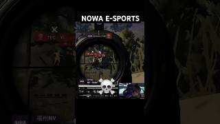 NNOWA E SPORTS PMGC 2024  shorts pubgmobile bgmi viralshorts [upl. by Eidnew956]