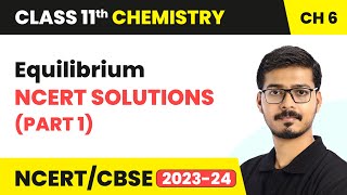 Equilibrium  NCERT Solutions Part 1  Class 11 Chemistry Chapter 6 [upl. by Ahsieket]