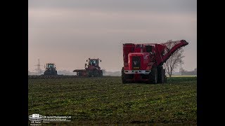 Beet to Wheat  2000hp in One Field [upl. by Ailehc367]