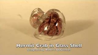 Hermit Crab in Glass Shell [upl. by Ha]