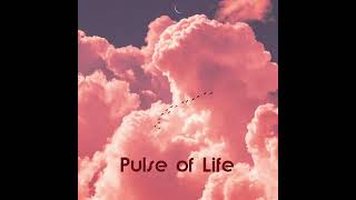 Aizz Berg  Pulse of Life Official Audio [upl. by Yevreh801]