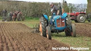 1964 Fordson Super Dexta 25 Litre 3Cyl Diesel Tractor 39 HP  High Cut Ploughing at Hereford [upl. by Nnyled]