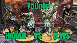 Harad amp Far Harad vs Lothlorien 750pt MESBG Battle Report [upl. by Charbonneau]