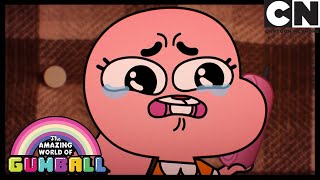 Who Made Anais Cry  Gumball  Cartoon Network [upl. by Nauqan]