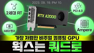 웍스는 쿼드로 RTX A2000 특집 방송with 컴집 [upl. by Gerald]