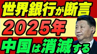 世界銀行が断言「2025年に中国は消滅する」 [upl. by Ataeb611]