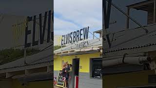 elvisbrew hartenbos sea beach [upl. by Notnelc130]