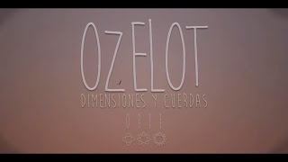 Ozelot  El ciclo del carbono Dimensiones y cuerdas III [upl. by Eceinert164]