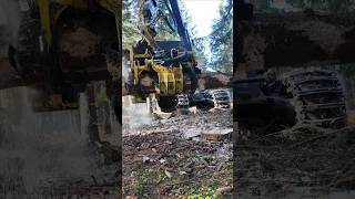 John Deere Advanced Wood Manipulation Technology 🌲🚜 [upl. by Adnalra]