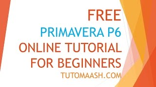 Free Oracle Primavera p6 Online Training Beginners kitBK series [upl. by Deidre]