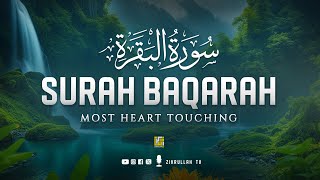 Worlds most relaxing HEART TOUCHING Surah AlBaqarah Full سورة البقره  Zikrullah TV [upl. by Aimehs323]