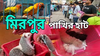 Mirpur 1 pakhir hat মাসেরশুরুতেইএসেছে হিজবহেনসুর নানানরংবেরঙেগরপাখি২০২৪ [upl. by Lacram]