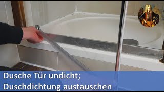 Dusche Tür undicht Duschdichtung austauschen [upl. by Mraz990]