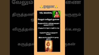 🙏முருகன் வேல் மாறல் 🙏 murugan tamil [upl. by Leroi254]