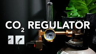 All About the CO2 Regulator [upl. by Marysa]