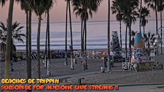 Venice Beach Santa Monica Webcam  Venice Beach Live Cam [upl. by Evvie]