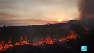 Des feux de forêts importants touchent l’Amazonie Bolsonaro accuse les ONG [upl. by Bak158]