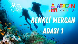 Renkli Mercan Adası 🪸  Eğitici Çocuk Şarkısı 🎵  Afacan Çocuk [upl. by Thea501]