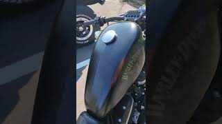 Harley Davidson Sportster Iron 883 Start UP iron883 [upl. by Kreager]