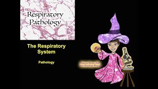 The Respiratory System Pathology [upl. by Vitek]