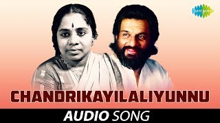 Chandrikayilaliyunnu Audio Song  Bharyamar Sookshikkuka  KJ Yesudas P Leela Hits [upl. by Nylla]