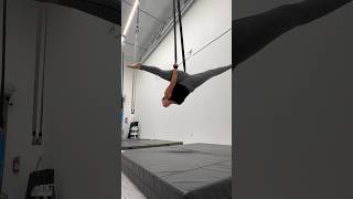 Aerial straps split combo aerial straps silks performance aerialsilks strapscombo acrobatics [upl. by Norak762]