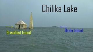 Chilika Lake  Jewel of Odisha  Tourist Place  Rambha Chilika  Odisha  India [upl. by Lurleen]